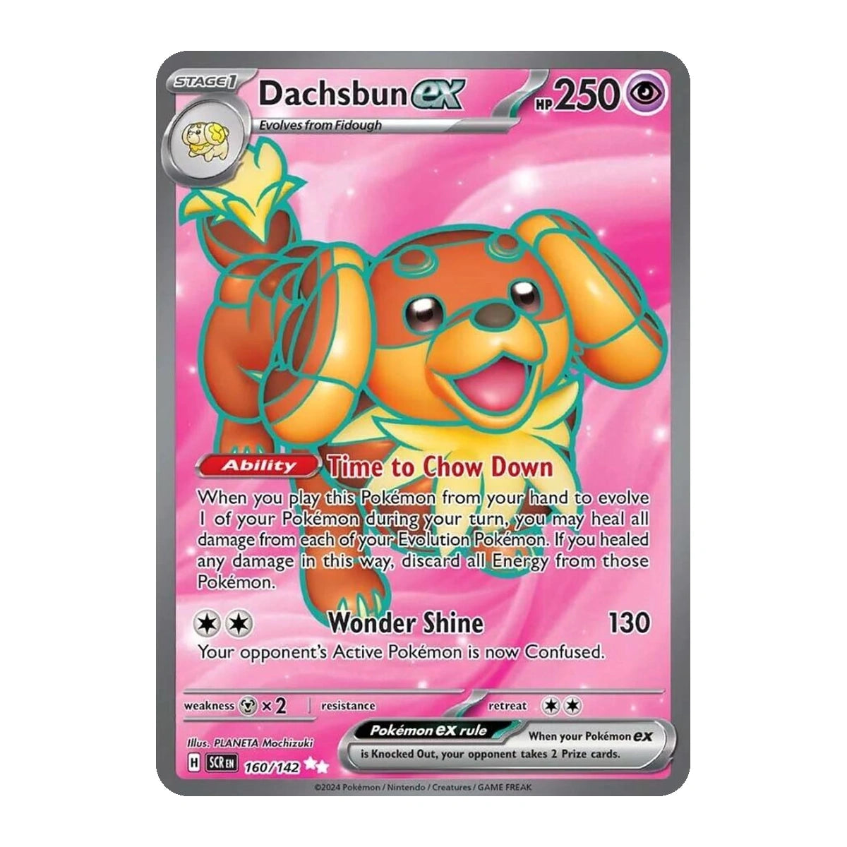 Dachsbun ex – 160/142
