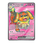 Dachsbun ex – 160/142